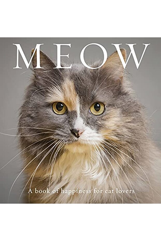Meow A Book Of Happiness For Cat Lovers