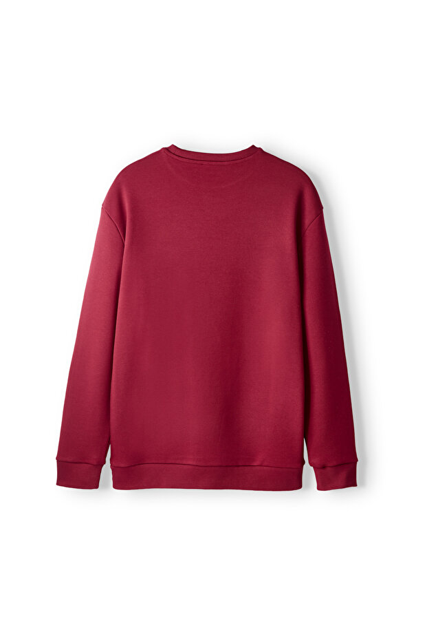 Galatasaray Premium Basic Sweat E251139 - 2