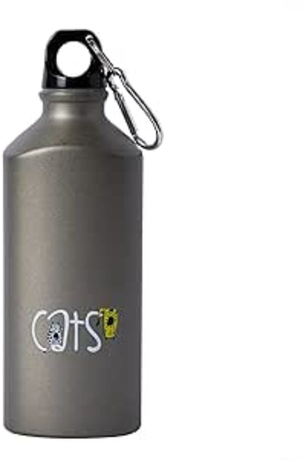 Biggdesign Aluminum Water Bottle, Insulated Thermos Water Bottle With Lid and Carabiner Clip, BPA Fr