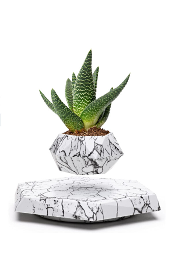 وعاء نباتات عائم بقاعدة رخامية سداسية الشكل - 1