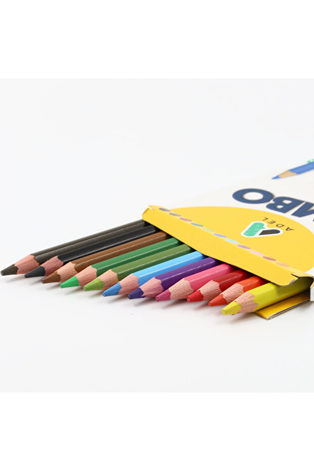 12li Jumbo Kuru Boya Seti - 3