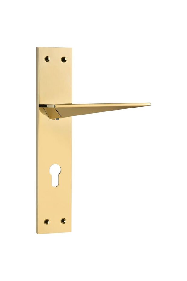 Za Truce Plate Handle – Durable Zinc Alloy Door Handle, Matte Finish, Easy Install