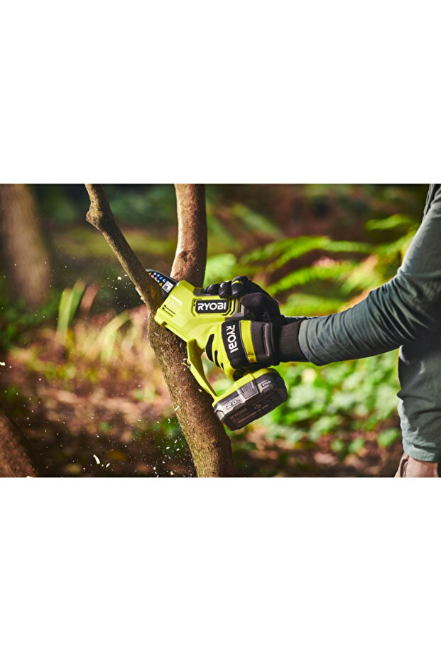 Akülü Dal Budama - 8