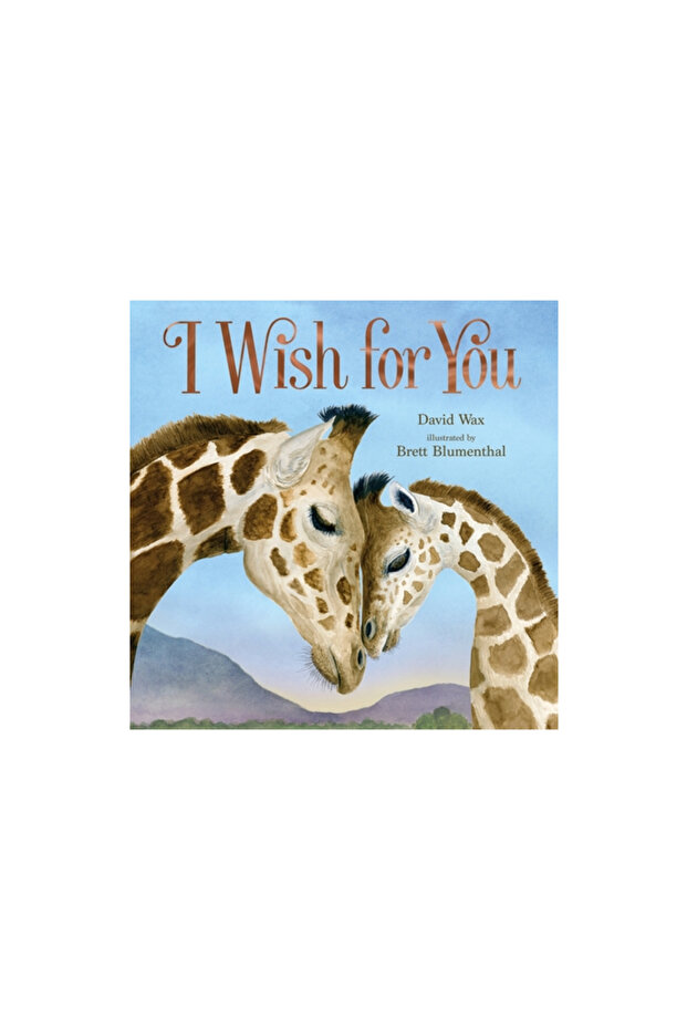I Wish for You - 1