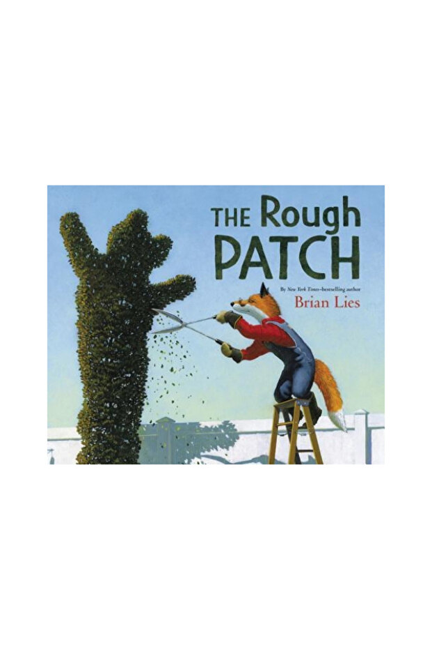 The Rough Patch - 1