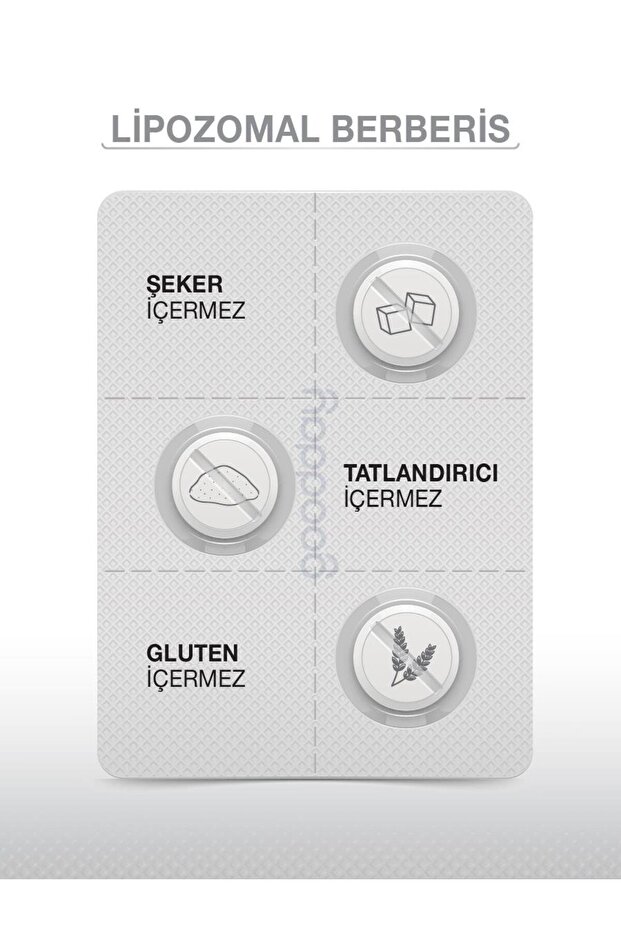 LİPOZOMAL BERBERİS 30 TABLET - 6