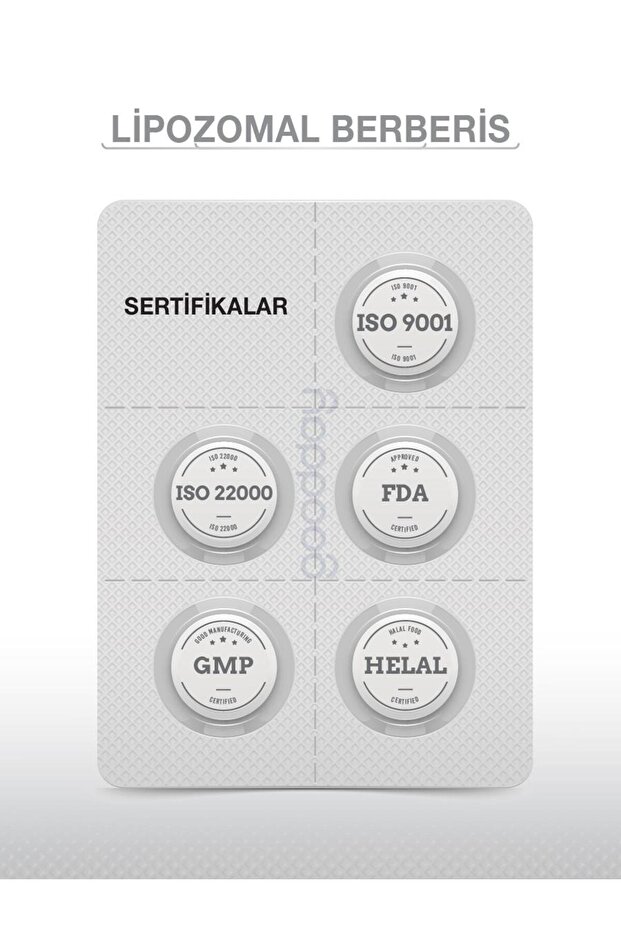 LİPOZOMAL BERBERİS 30 TABLET - 7