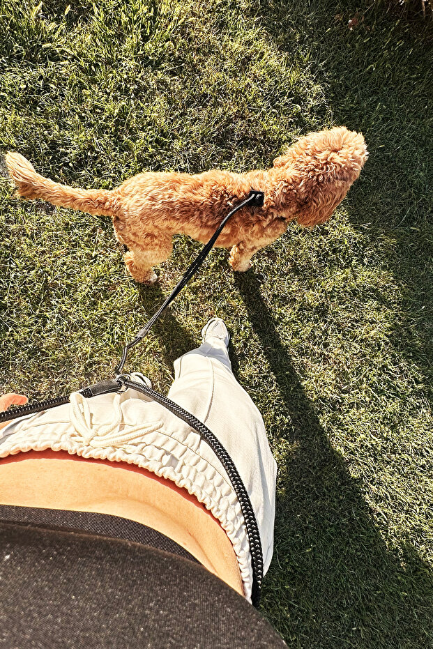 Ayarlanabilir Köpek Göğüs Tasması - 4