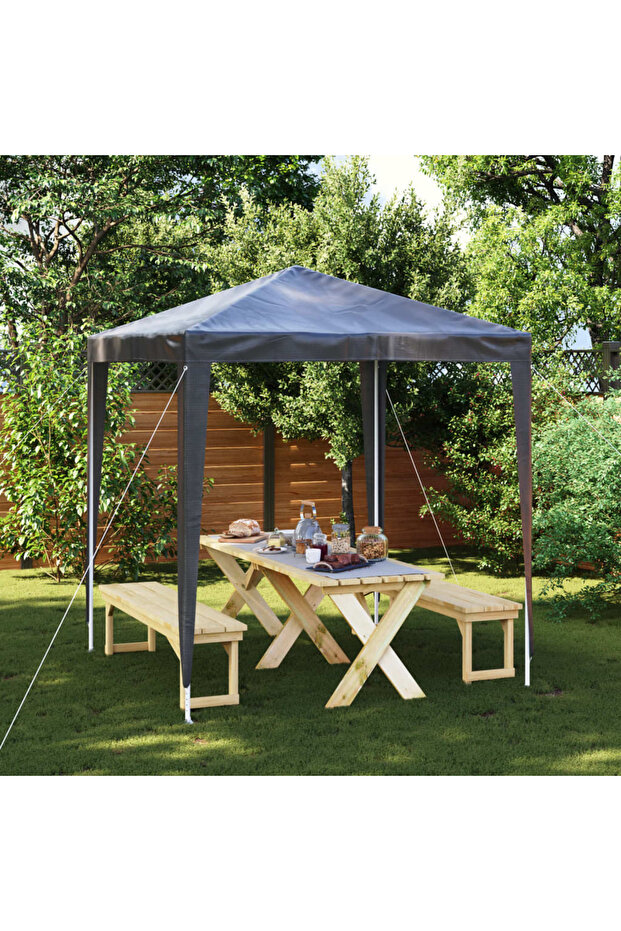 Professional Party Tent 2x2 m Anthracite