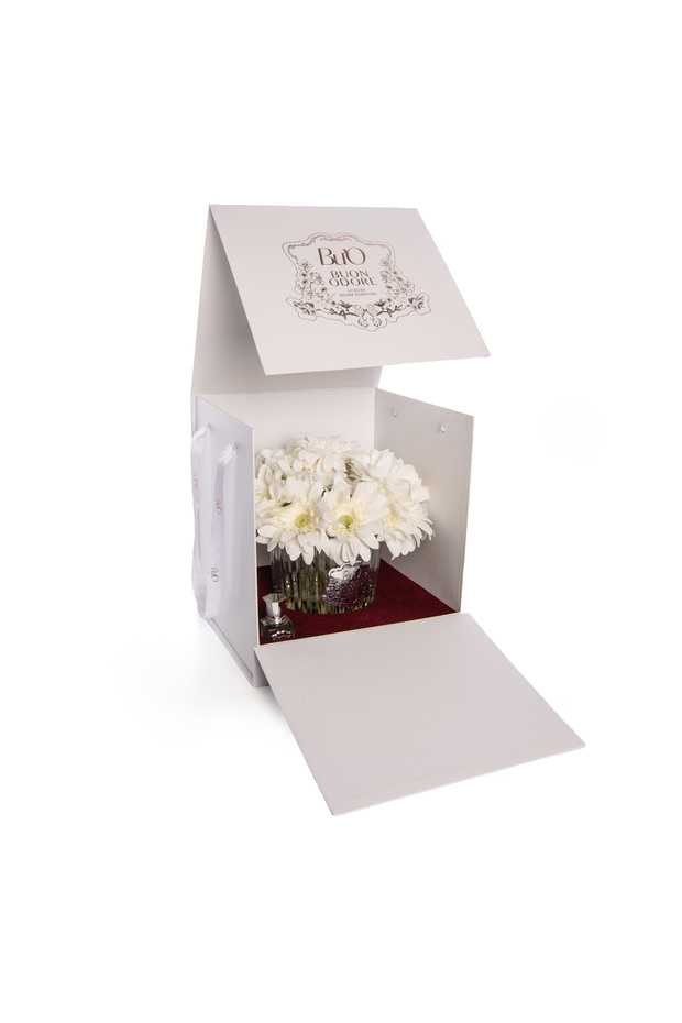 GERBERA SILVER BEYAZ - 4