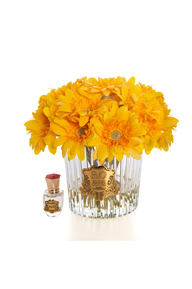 GERBERA GOLD SARI - 2