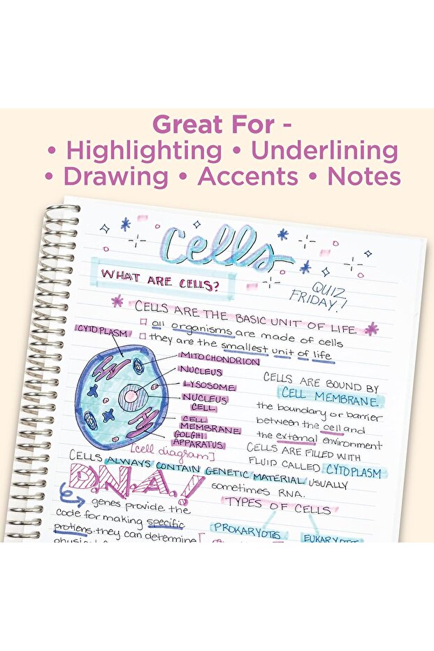 Mildliner Double-Ended Highlighters, Chisel & Fine Tip, Neutral Soft Colors, Pack of 10 - 5