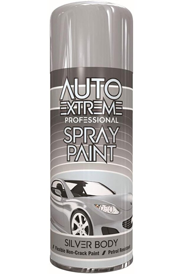 Eliz Professional Silver Gloss Body Spray Paint 400ml