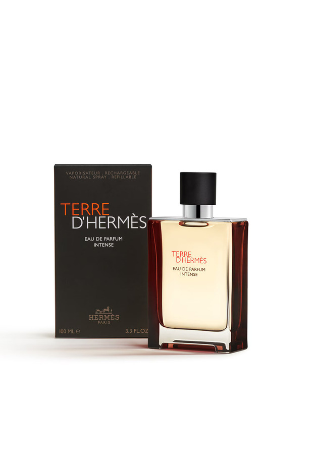 Terre d'Hermès - Eau de Parfum Intense 100 ml - 2