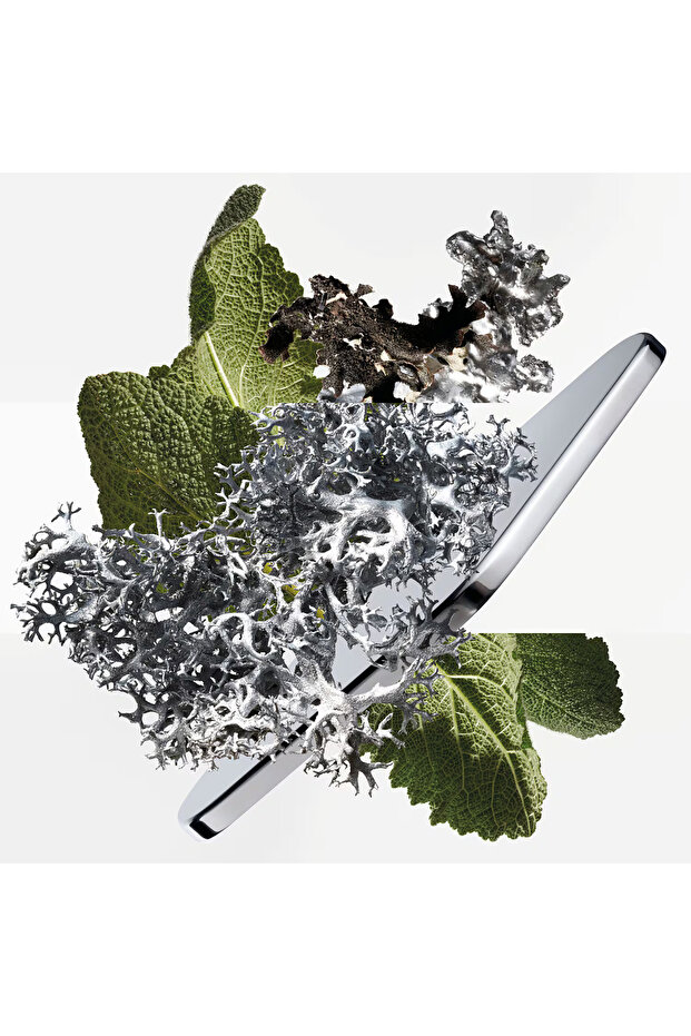 H24 - Eau de Parfum 100 ml - 5