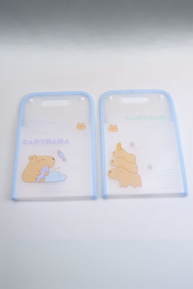 Capybara Accordion File Folder - 2