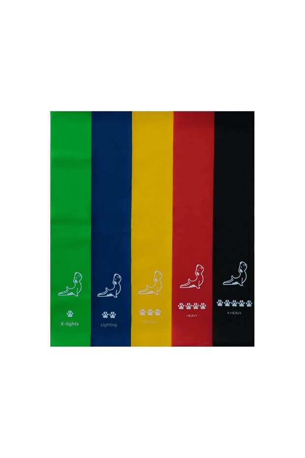 5-Piece Level Resistance Band Set Pilates Band Fitness Equipment
