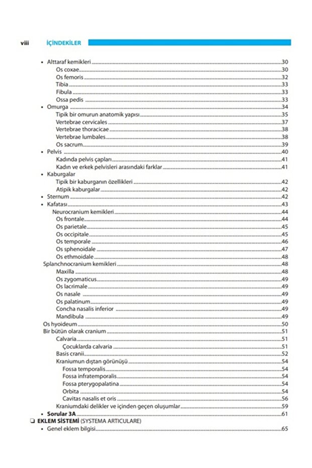 Insan Anatomisi - 5
