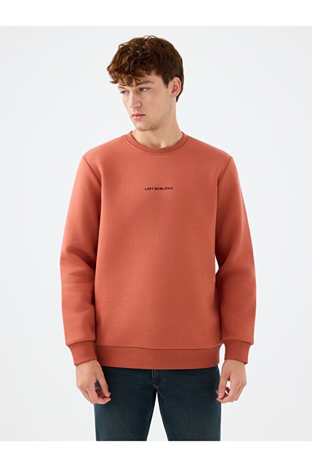 Regular Fit Erkek Sweatshirt - 1