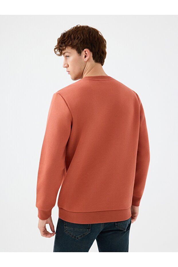 Regular Fit Erkek Sweatshirt - 3