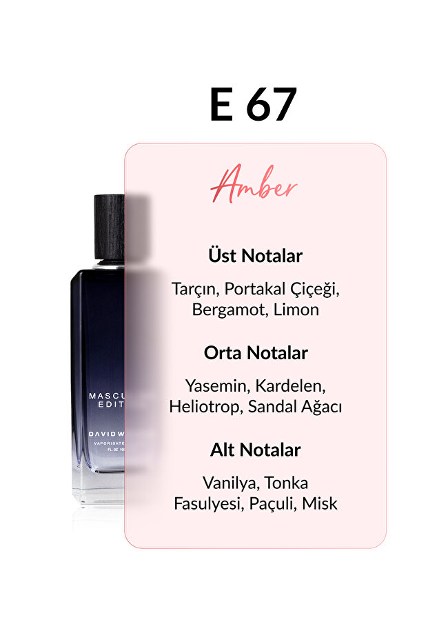 E67 Tom 100 ml Erkek Parfüm | Amber - 3