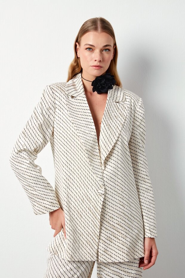 Stripe Patterned Jacket - Beige - 3