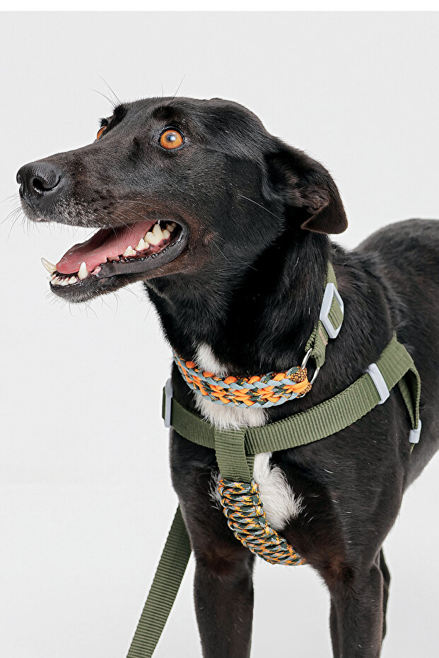 طوق رقبة قابل للتعديل مصنوع يدويًا بنسبة 100% - 2