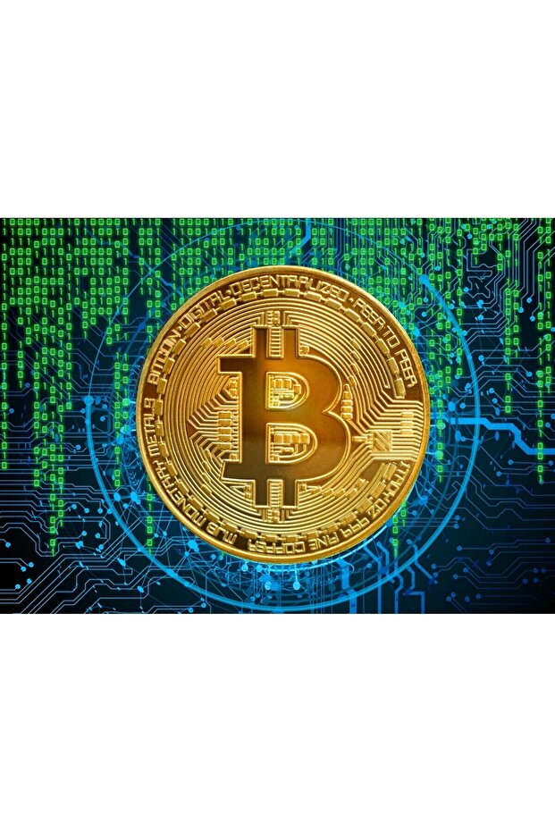 Bitcoin Digital Patterned Wall Covering - 3