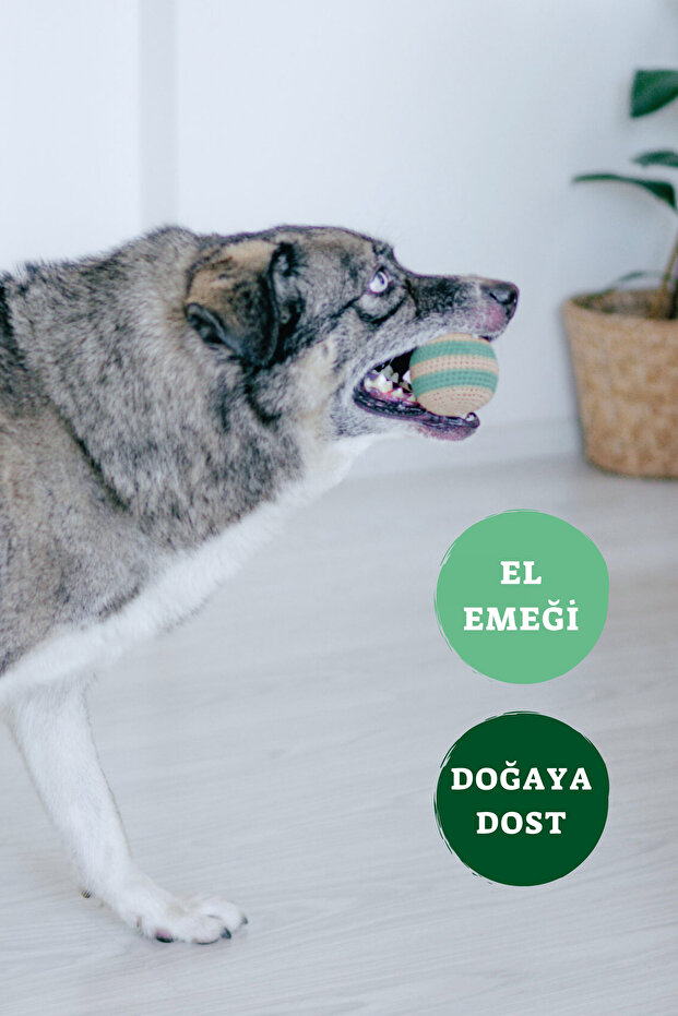Köpek Oyuncağı Seti, Örgü Kemik ve Top| Doğa Dostu ve Pamuklu - 2