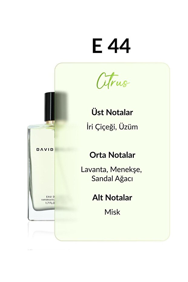 E44 Dragster 50 ml Erkek Parfüm | Citrus-Meyve - 3
