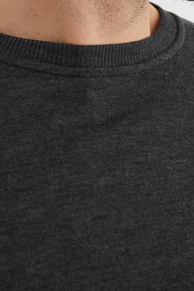 3 İplik Basic Bisiklet Yaka Sweatshirt - 6