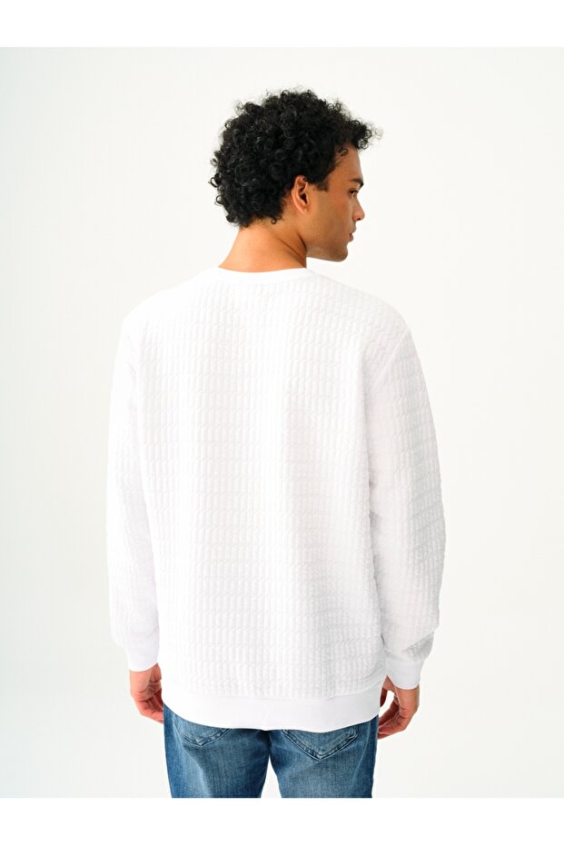 Regular Fit Erkek Sweatshirt - 3
