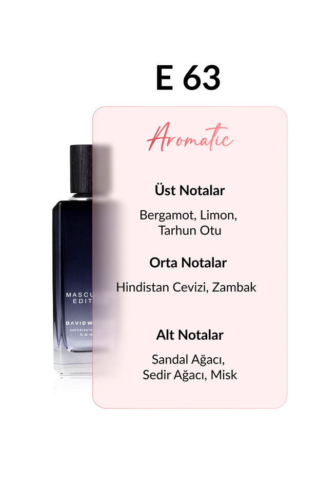 E63 Mamilo 100 ml Erkek Parfüm | Aromatic - 3