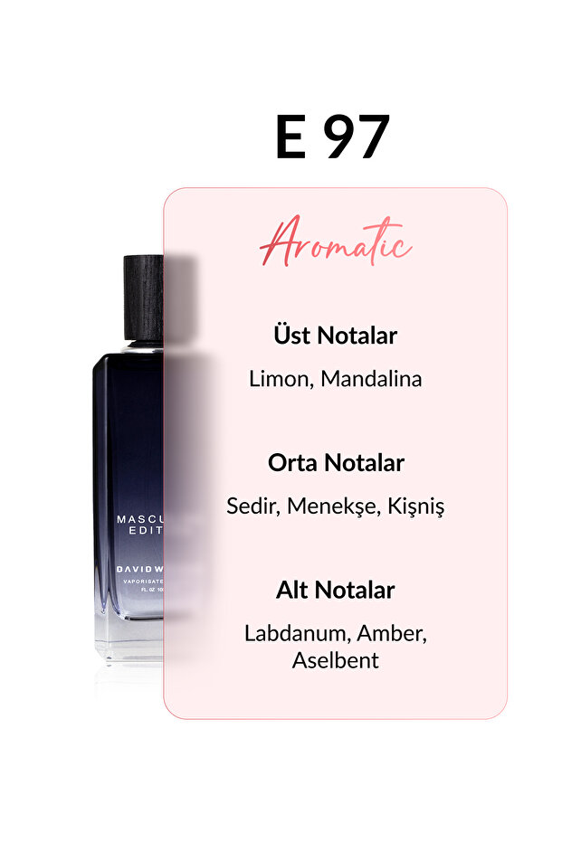 E97 Bavari 100 ml Erkek Parfüm | Aromatic - 3