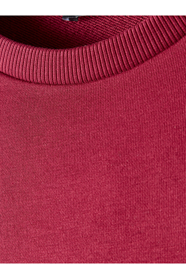 Galatasaray Premium Basic Sweat E251139 - 5