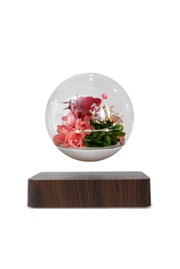 زهور حقيقية عائمة مع ضوء. قاعدة بني غامق - 1