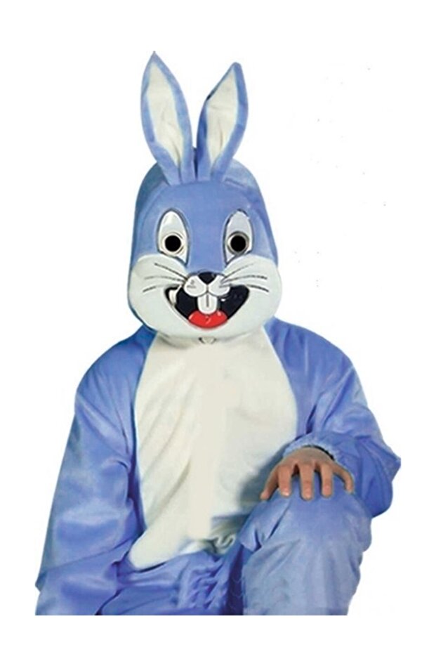 Rabbit Costume Model-1