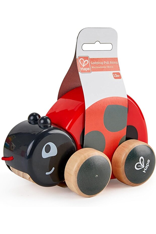 Ladybug Pull-Along Toy for Toddlers | Wooden Push & Pull Animal Toy with Flapping Wings | Inter
