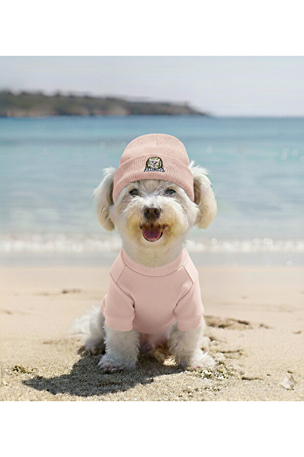 Handmade Ribbed Fabric Dog Outfit and Hat Set (for Small and Medium Breeds)