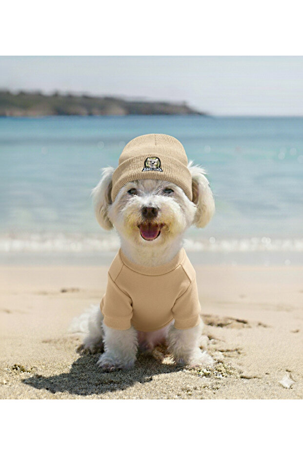 Handmade Ribbed Fabric Dog Outfit and Hat Set (for Small and Medium Breeds)