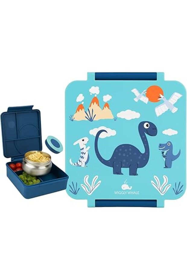 Lunch Box for Kids with Stainless Steel Food Jar, for School, Multi-Compartment Bento Box for Kids,