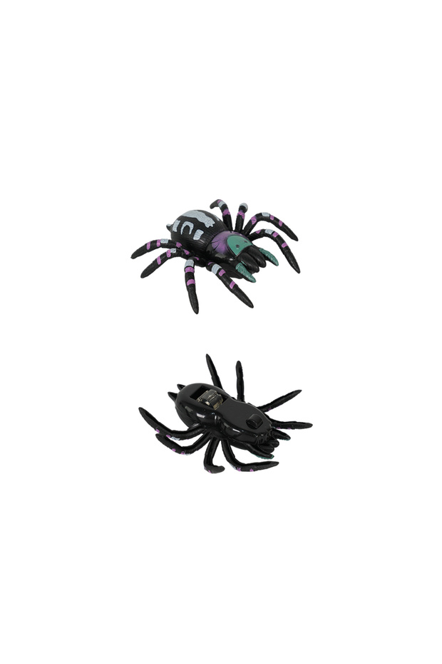 Tırmanabilen Tarantula - 2