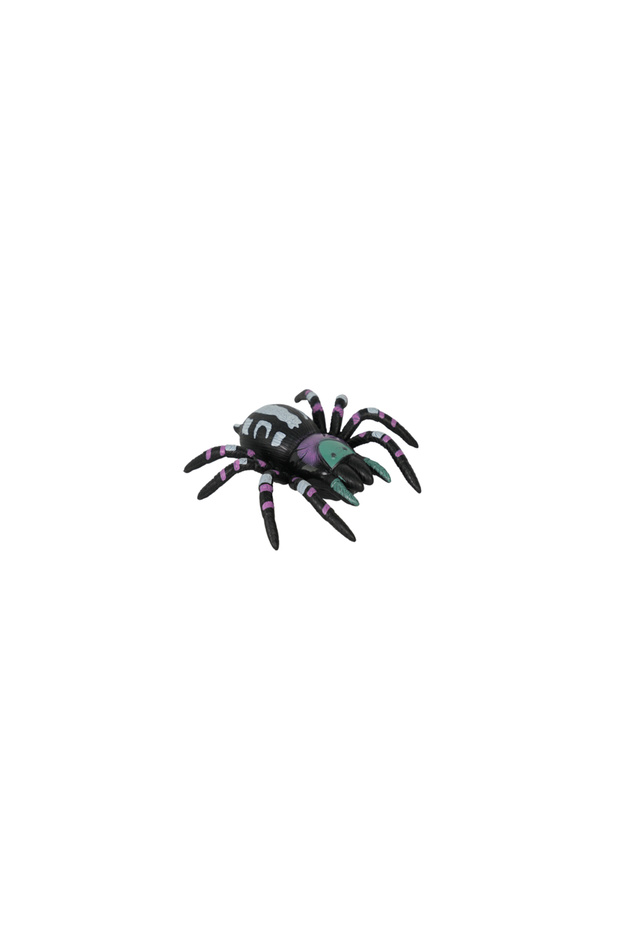 Tırmanabilen Tarantula - 1