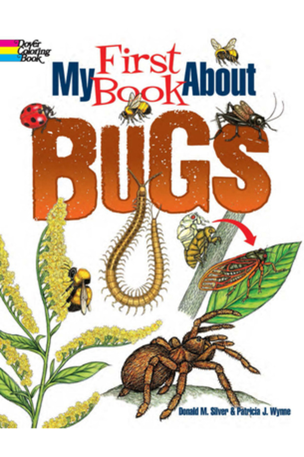My First Book about Bugs - 1