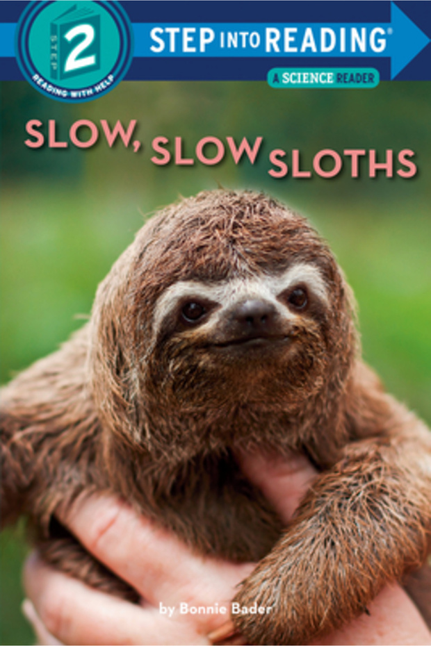 Slow, Slow Sloths - 1