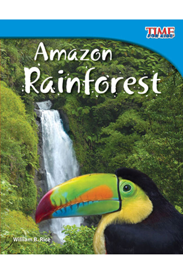 Amazon Rainforest - 1