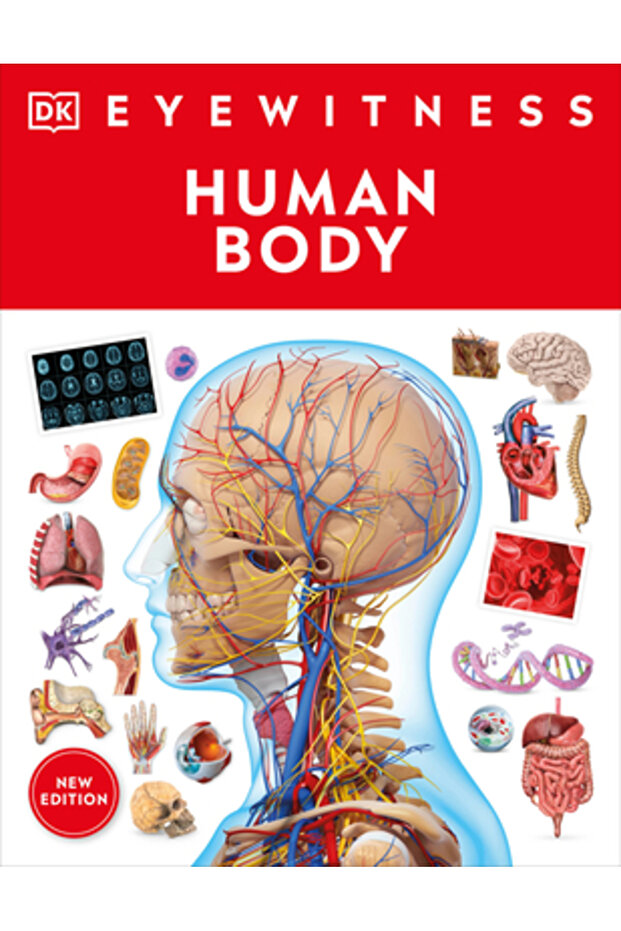 Human Body - 1