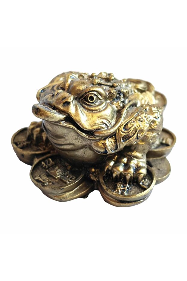 Toad with coin strings - 2