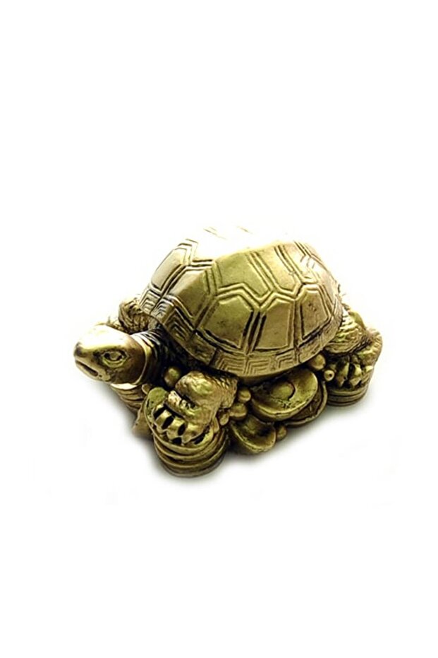 Golden turtle - 1
