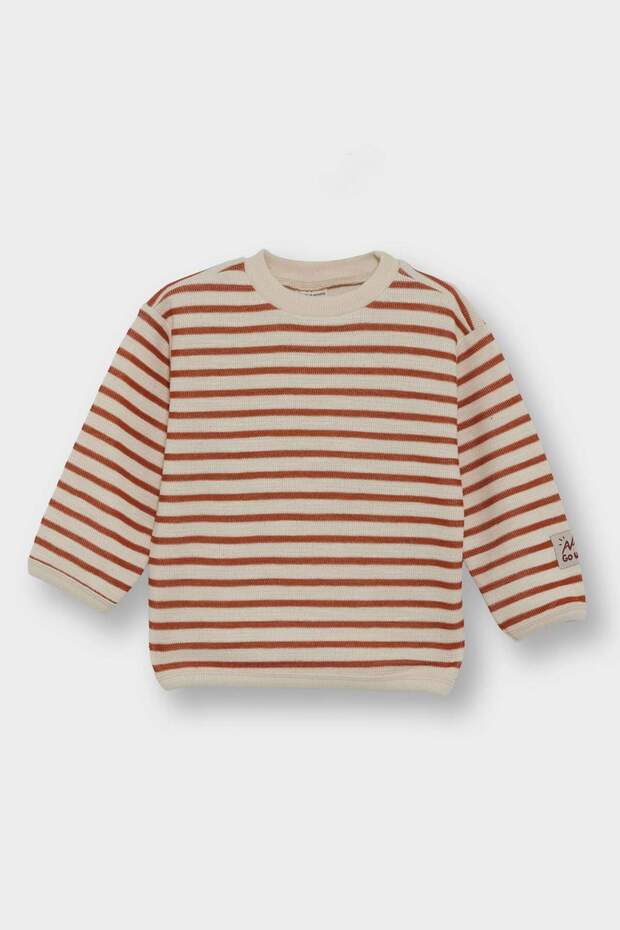 Baby Boy Crew Neck Striped Sweatshirt F7587A525Wn